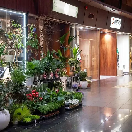 Apartman Dream - City Center With Balcony & Parking
