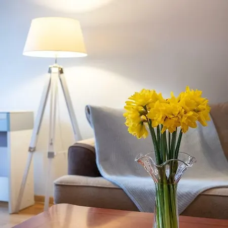 Dream - City Center With Balcony & Parking Apartment